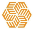 EVERSANA logo